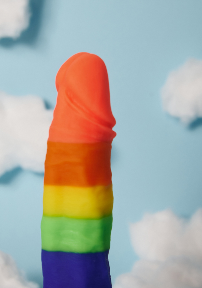 Ρεαλιστικό ομοίωμα πέους Rainbow Lover με βεντούζα